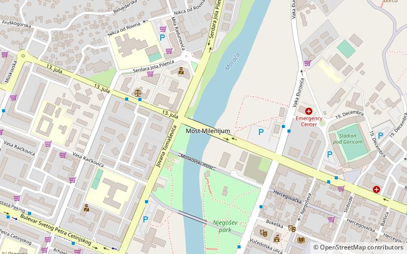 Pont du Millenium location map