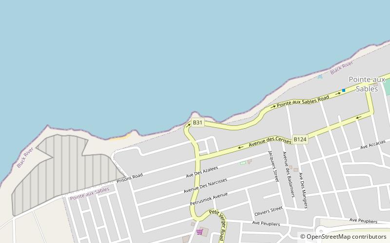 Pointe Aux Sables Public Beach location map