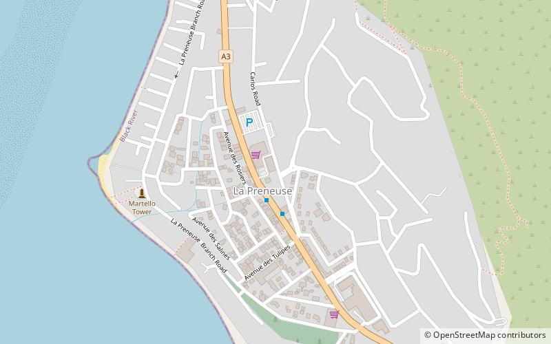 La Preneuse location map