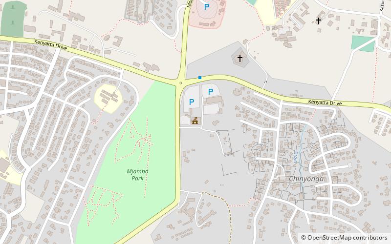 robins park blantyre location map