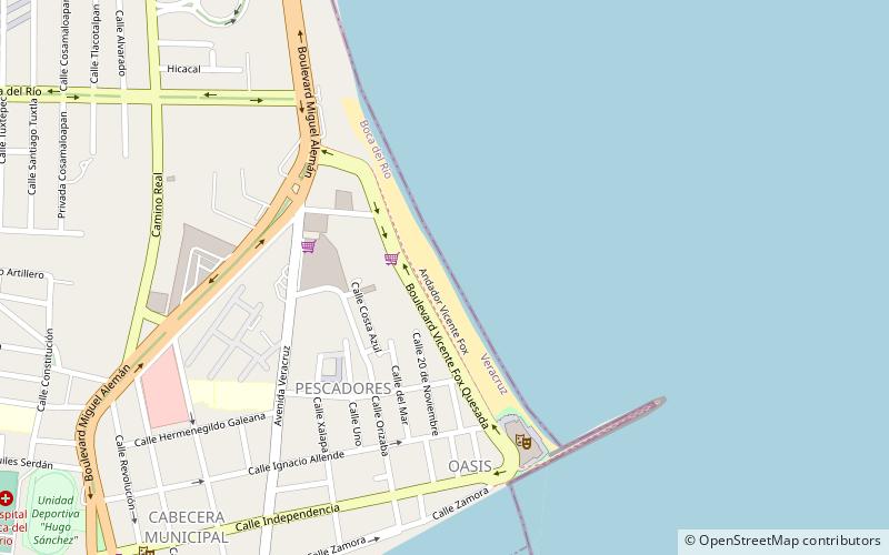 playa vicente fox location map