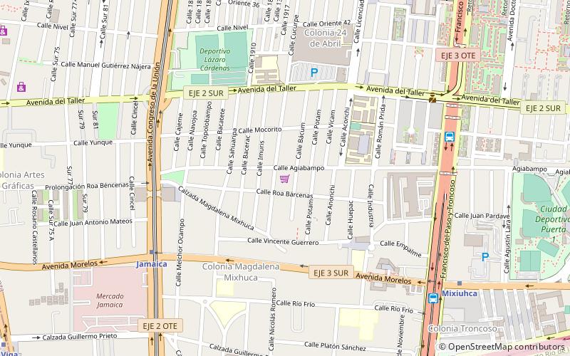 mercado alvaro obregon mexico city location map