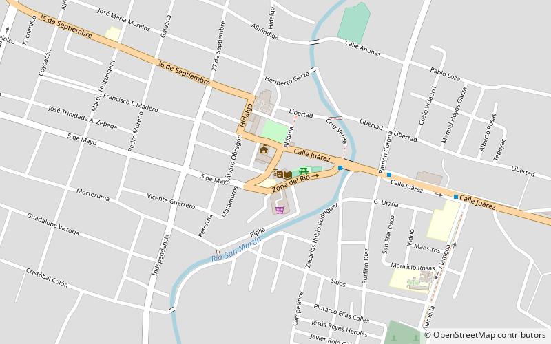 San Martín de Hidalgo location map