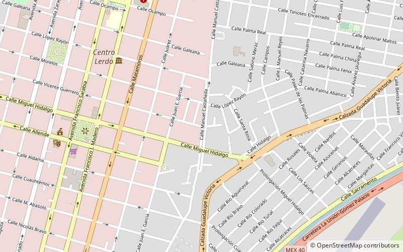 Ciudad Lerdo location map