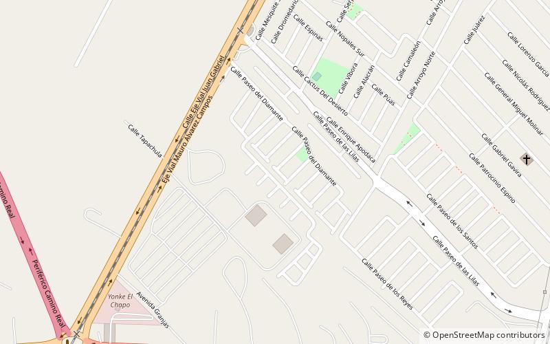 arena indios ciudad juarez location map