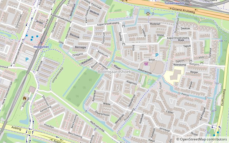 boomgaardshoek spijkenisse location map