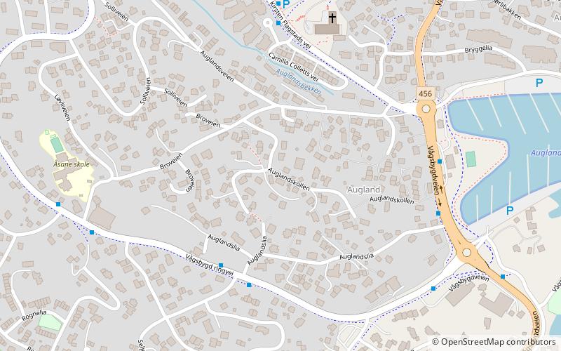 Auglandskollen location map