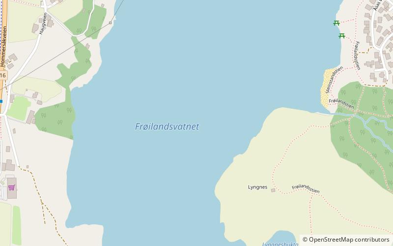 Frøylandsvatnet location map