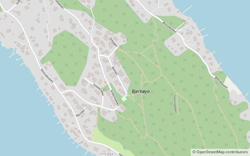 Bjerkøya location map