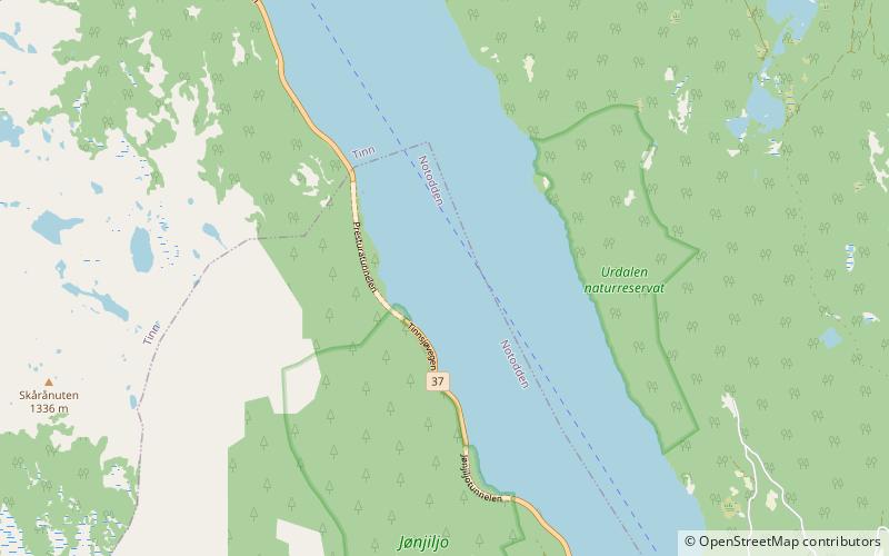 Tinnsjå location map
