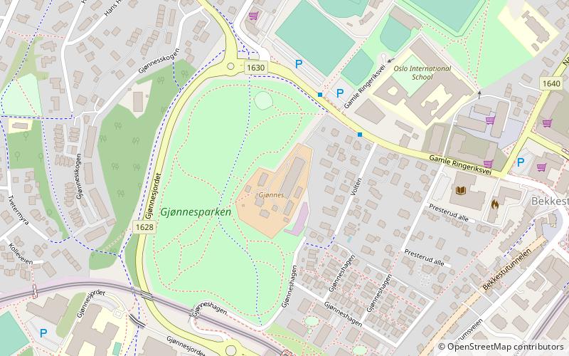 Gjønnes location map