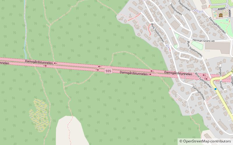 Damsgård Tunnel location map