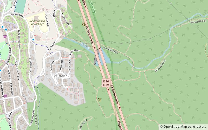 Fløyfjellstunnel location map