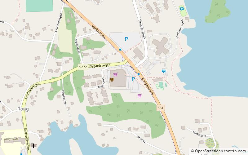 Rongøy location map