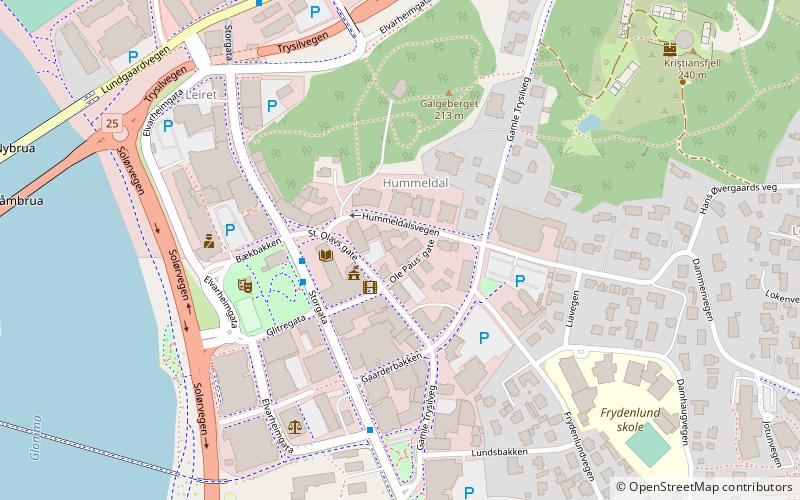 Ungdommens hus Elverum location map