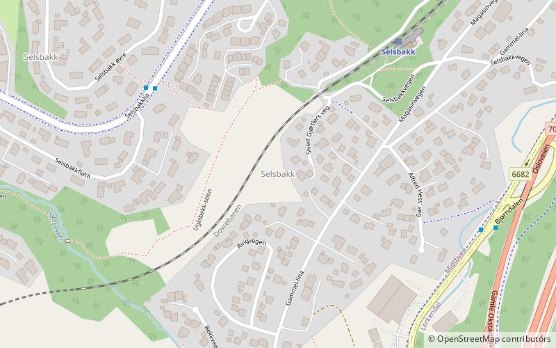 selsbakk trondheim location map