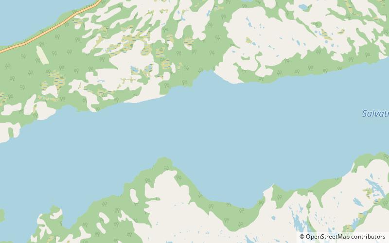 lago salvatn location map