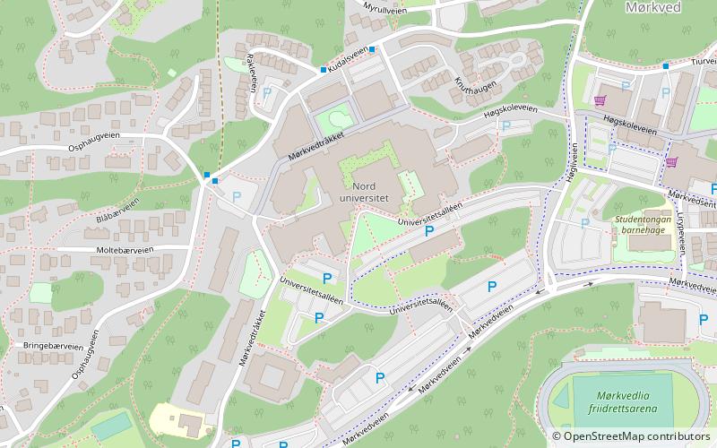 Universität Nordland location map