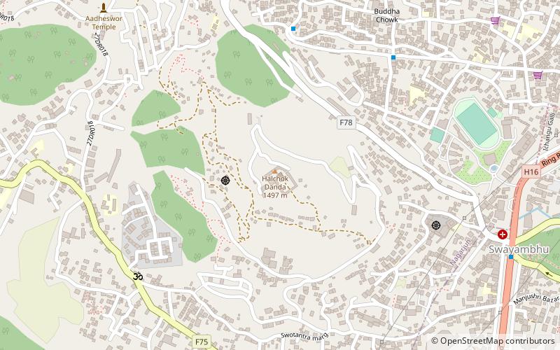 tergar osel ling monastery katmandu location map