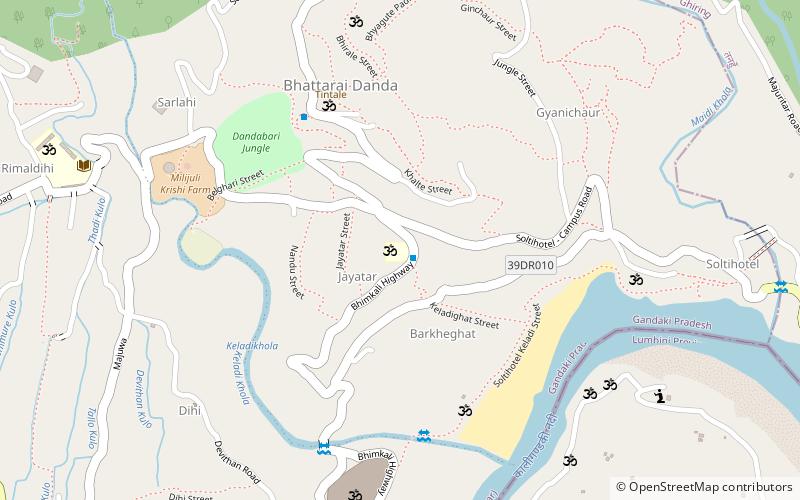 Radhadamodar Sanskrit Vidyapeeth location map