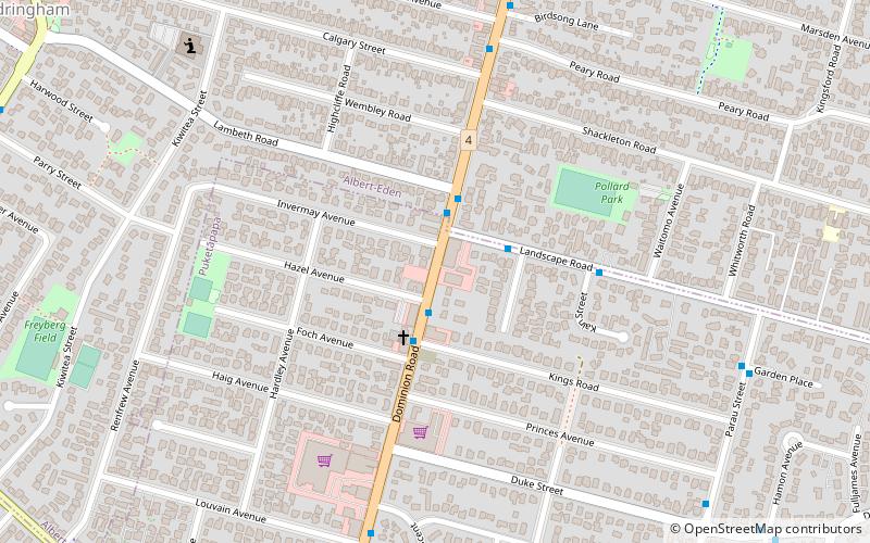 dominion road auckland location map