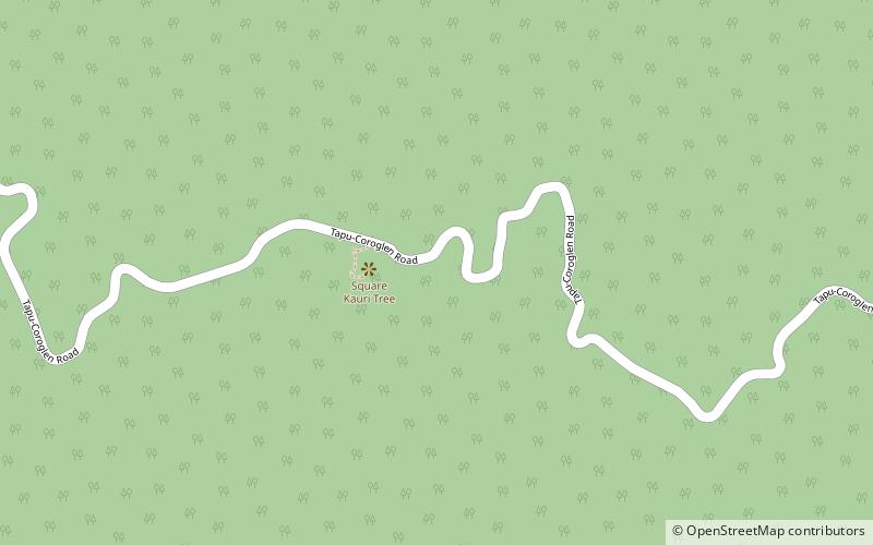 Square Kauri location map