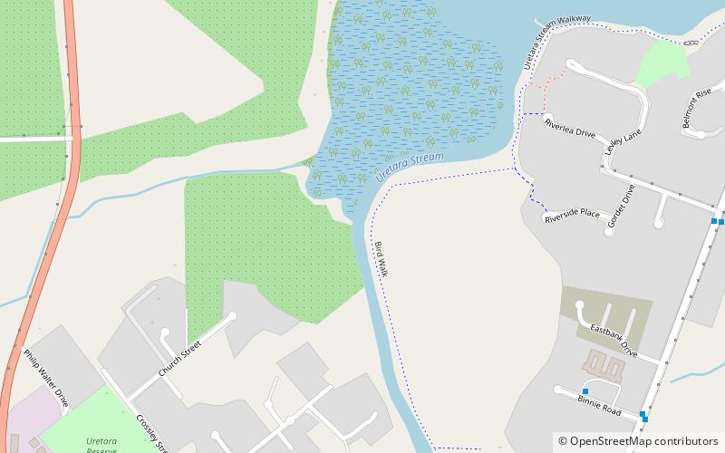 bittern katikati location map