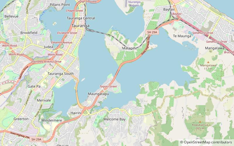 Maungatapu Bridge location map