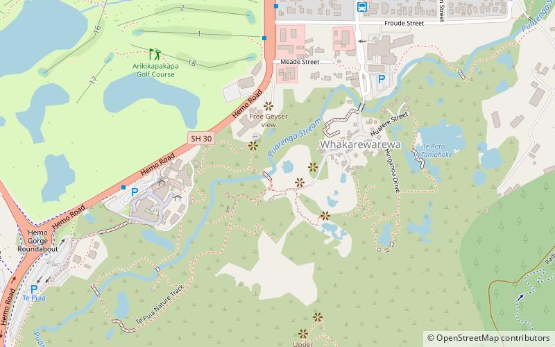 pohutu geyser whakarewarewa location map