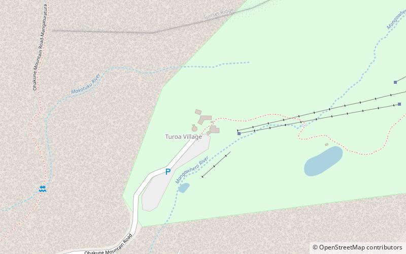 Turoa location map