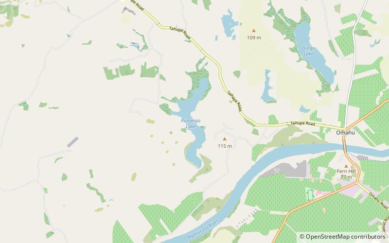 lake runanga location map