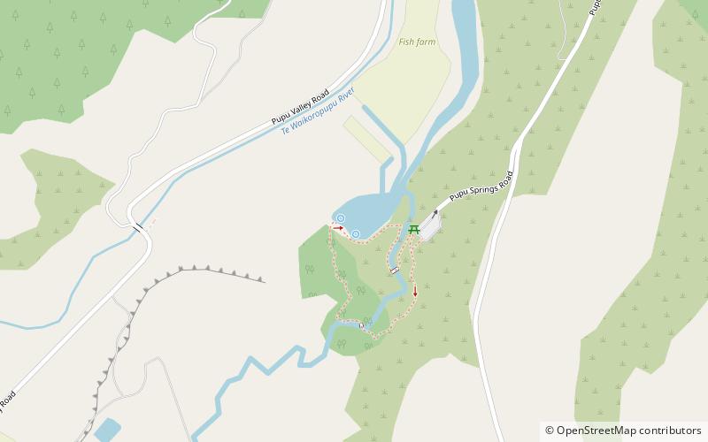 Waikoropupu Springs location map