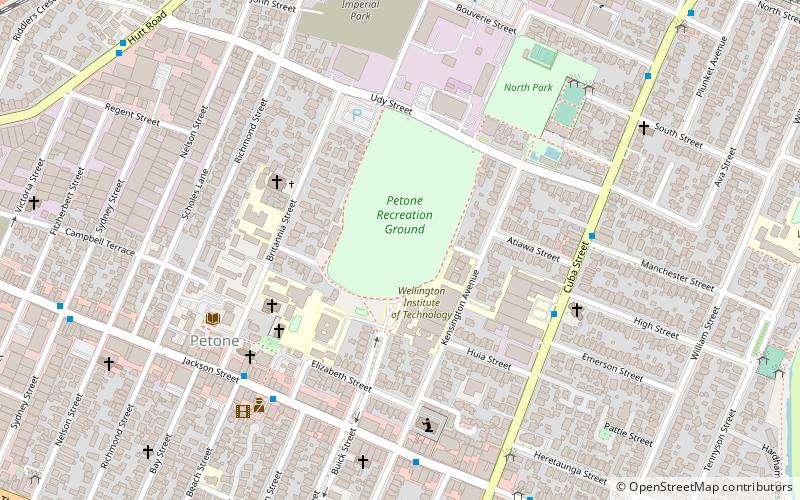 Petone Recreation Ground location map