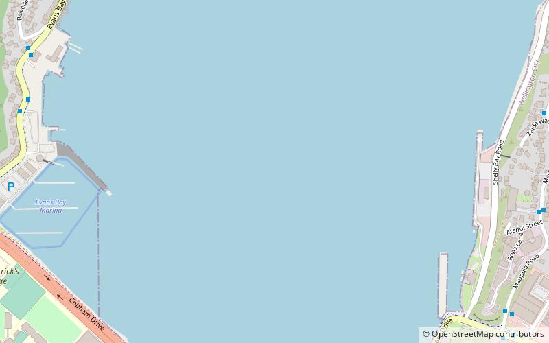 evans bay wellington location map