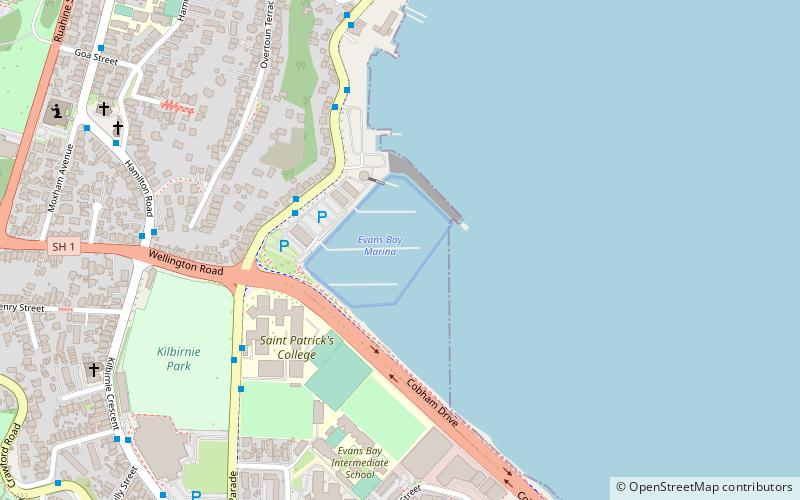 evans bay marina wellington location map