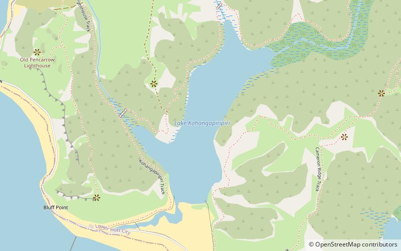 Lake Kohangapiripiri location map