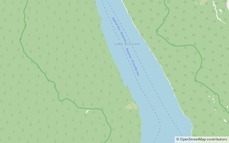 Lake Rotoroa location map
