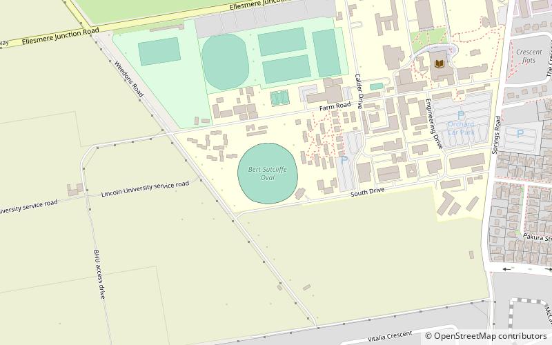Bert Sutcliffe Oval location map