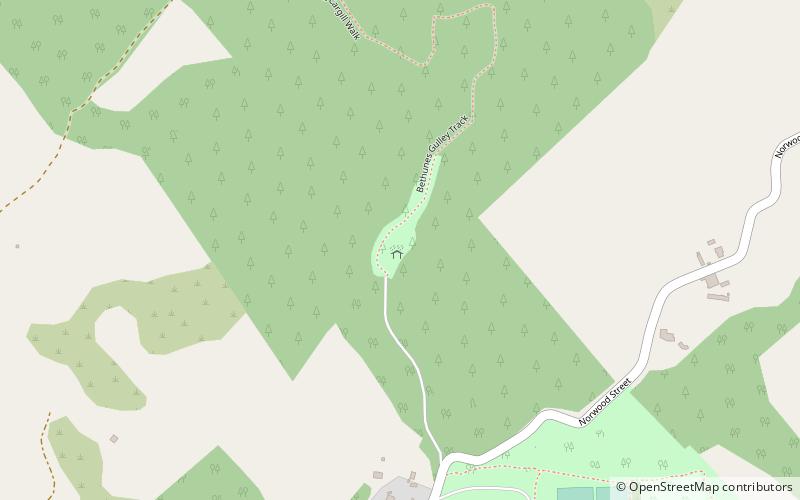 Bethune's Gully location map