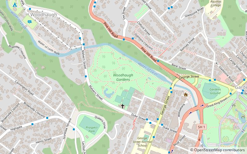 Woodhaugh Gardens location map