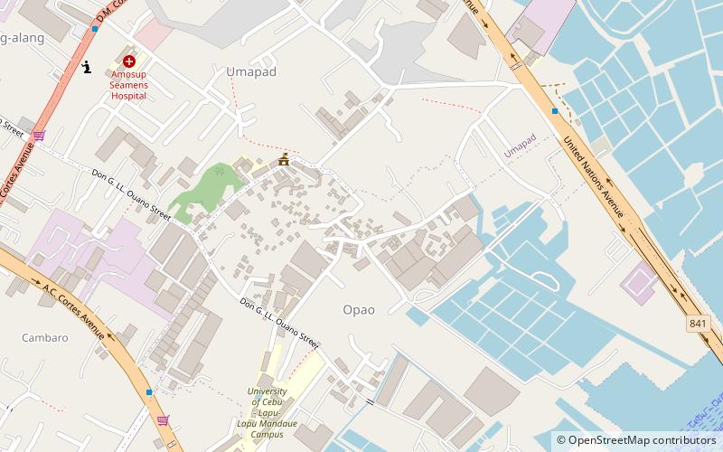 mandaue cebu location map