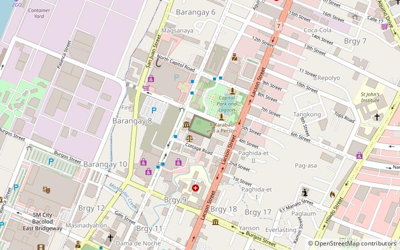 Negros Forests and Ecological Foundation Inc. location map