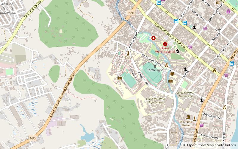 eastern visayas state university tacloban location map
