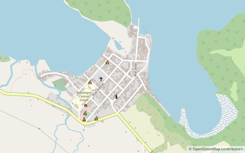 Babatngon location map