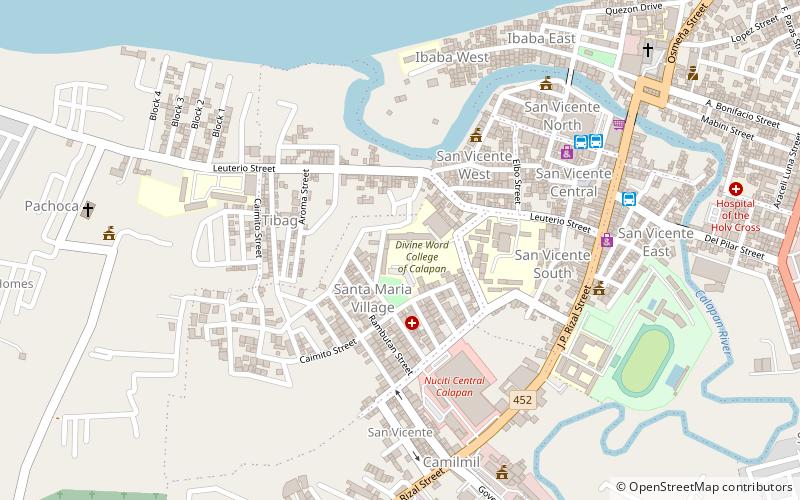 divine word college of calapan location map