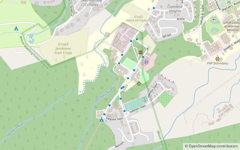 University of the Philippines Los Baños College of Forestry and Natural Resources location map