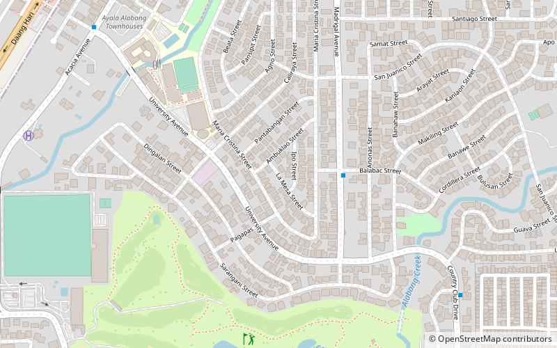 Ayala Alabang location map