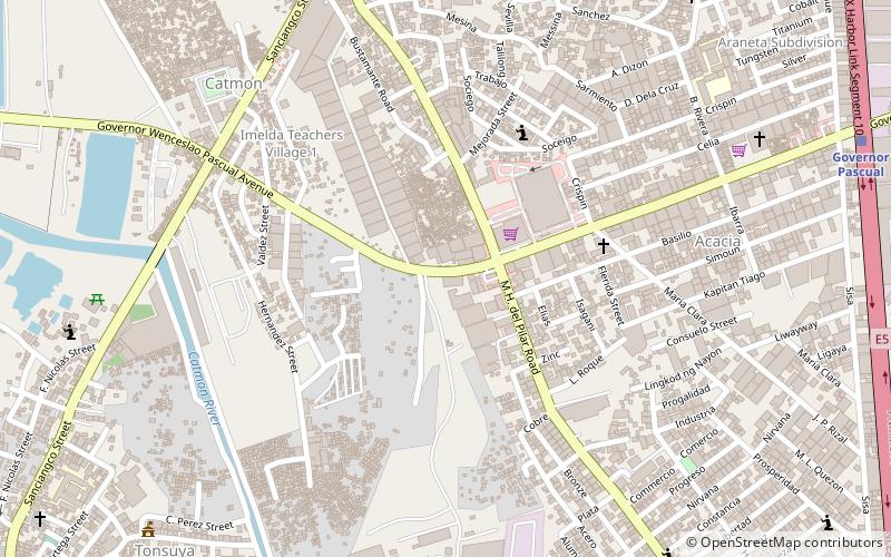 Governor Pascual Avenue location map