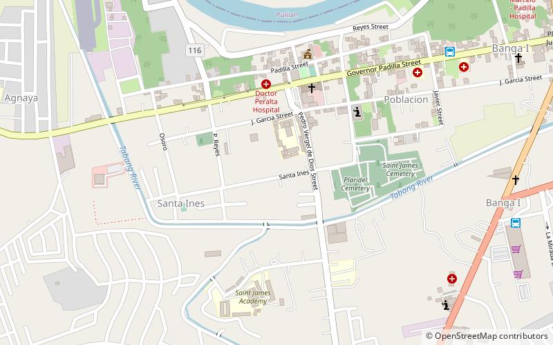 Plaridel location map