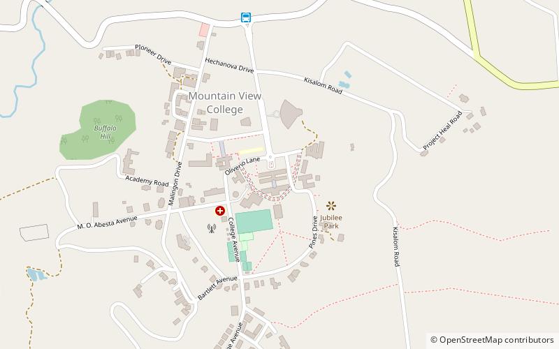 Mountain View College location map